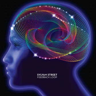 Feedback Loop sylvan dvd cover